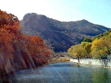 新澳天天开奖资料大全旅游团，秸秆颗粒